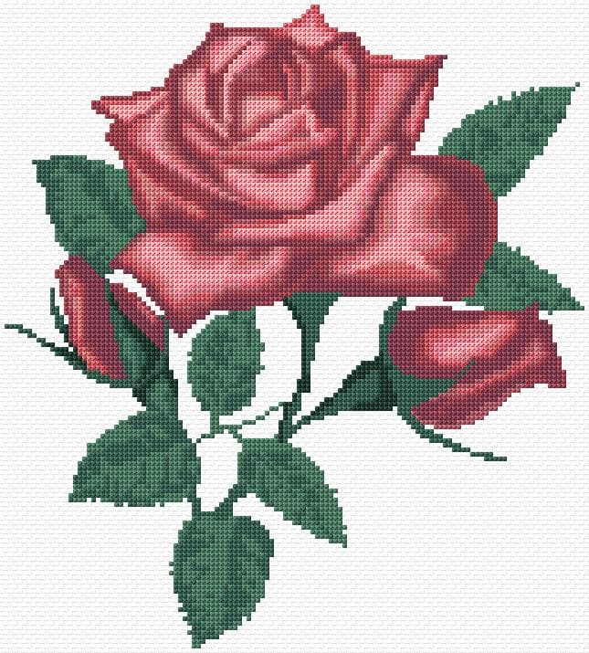 Rose free cross-stitch pattern