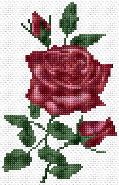 Rose free cross-stitch pattern