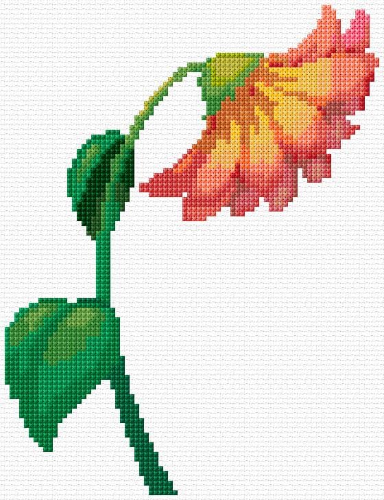 Chrysanthemum Flower free cross-stitch pattern