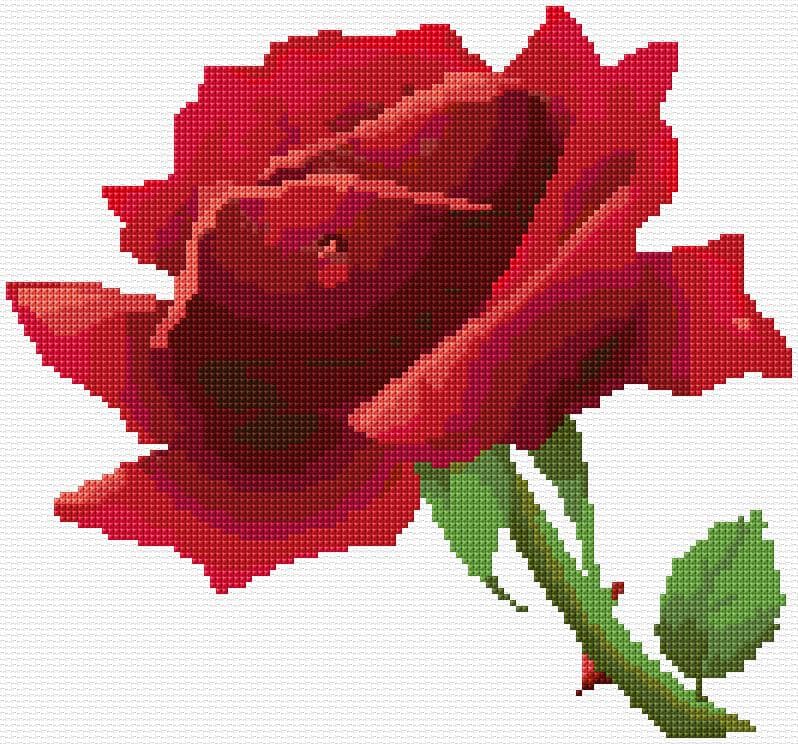 Rose free cross-stitch pattern