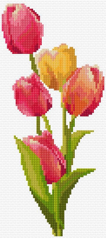 Tulips free cross-stitch pattern