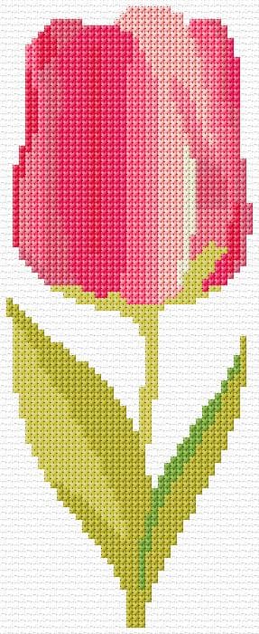 Tulip free cross-stitch pattern