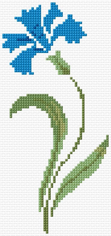 Cornflower free cross-stitch pattern