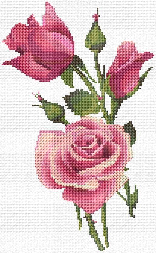 Roses free cross-stitch pattern