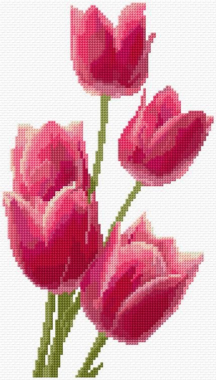 Tulips free cross-stitch pattern