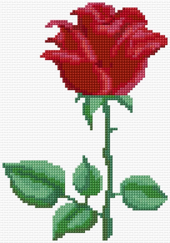 Rose free cross-stitch pattern