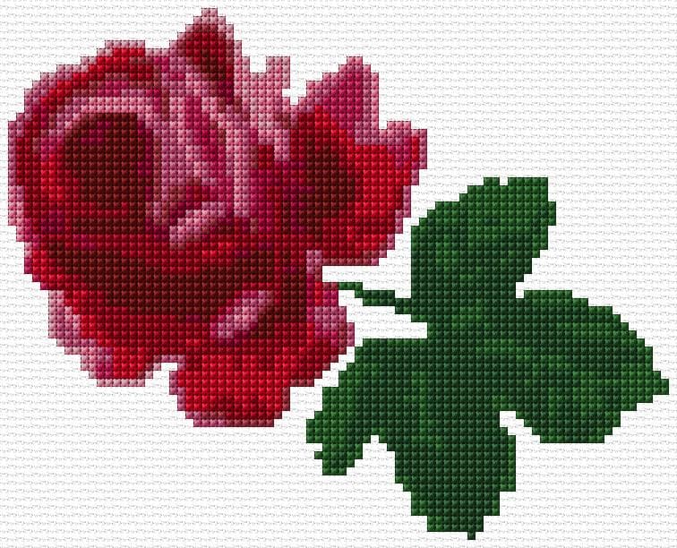 Rose free cross-stitch pattern