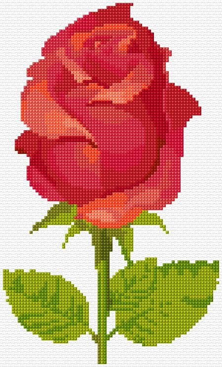 Rose free cross-stitch pattern