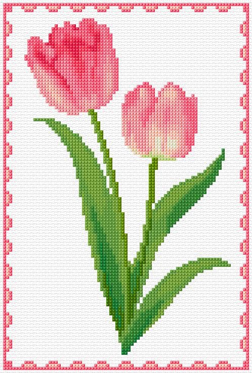 Tulips free cross-stitch pattern
