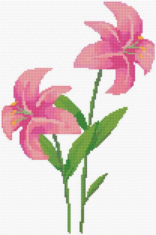 Lilies free cross-stitch pattern