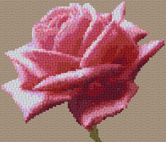 Rose 8 free cross-stitch pattern