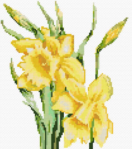 Daffodils free cross-stitch pattern