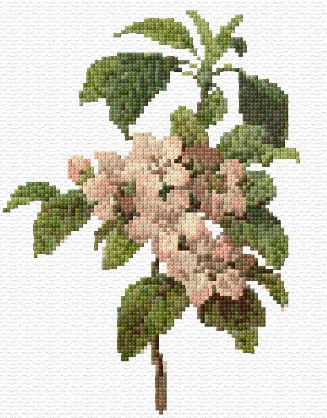 Spring Blossom free cross-stitch pattern