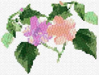 Hibiscus free cross-stitch pattern