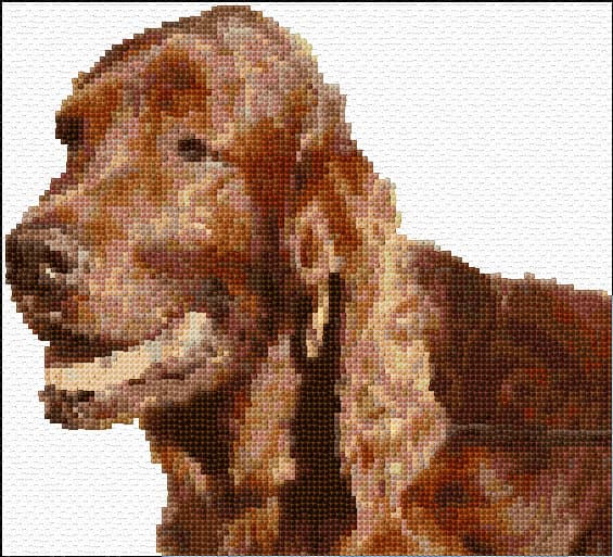 Red Irish Setter free cross-stitch pattern