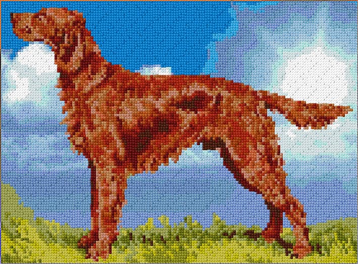 Irish Setter free cross-stitch pattern