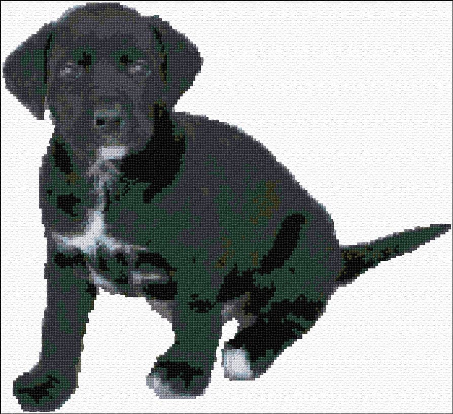 Black Labrador free cross-stitch pattern
