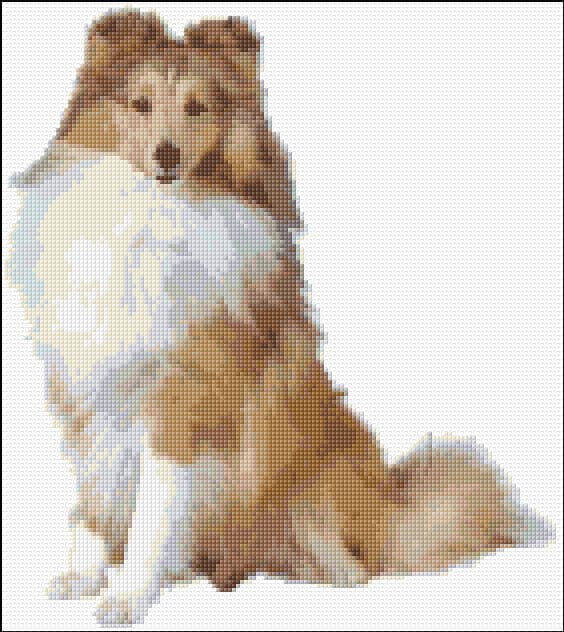 Sheltie free cross-stitch pattern