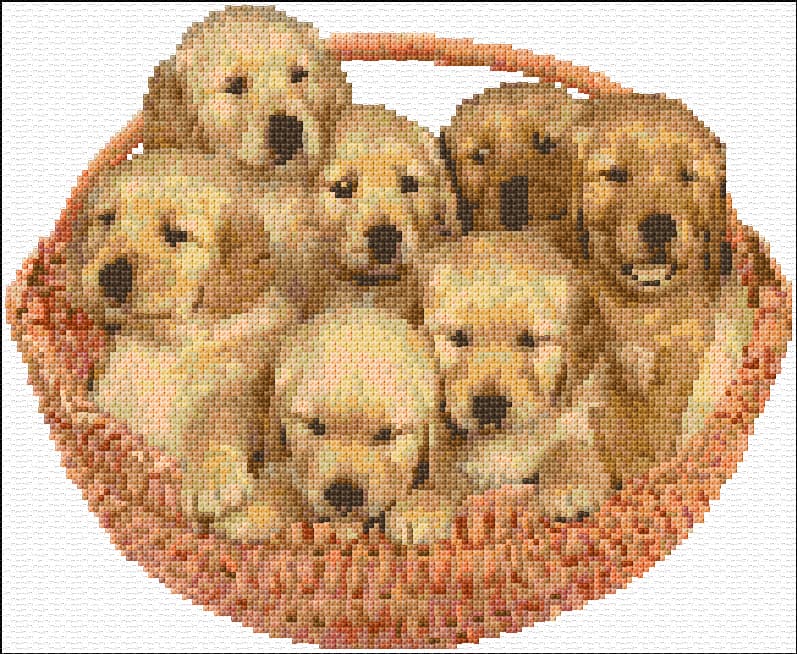 Pappies in a Basket free cross-stitch pattern