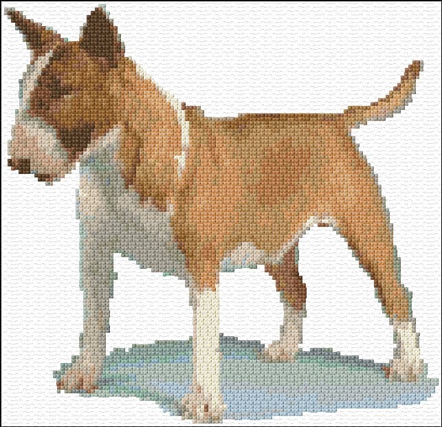 Bull Terrier free cross-stitch pattern