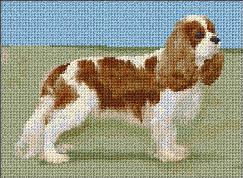 Cavalier King Charles Spaniel free cross-stitch pattern