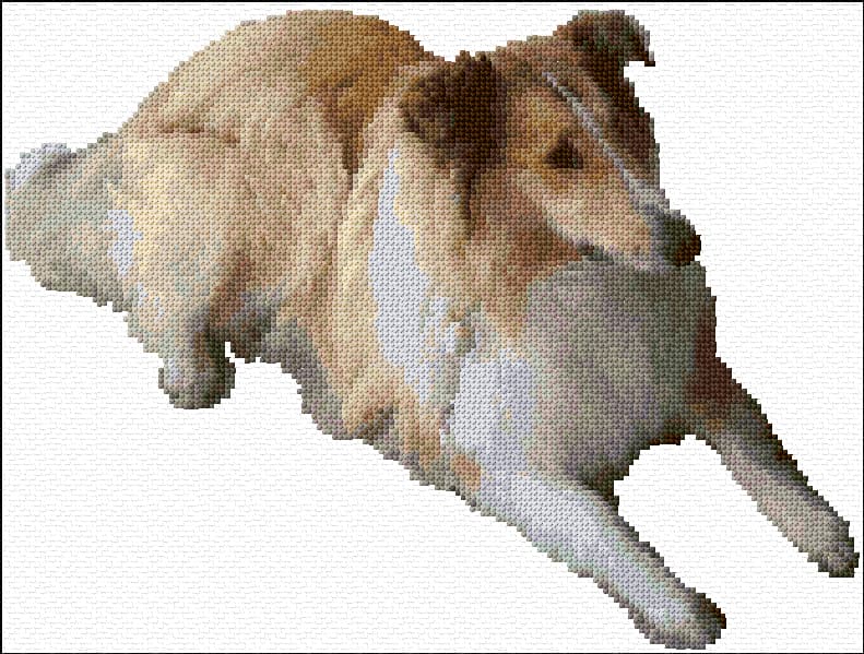 Adorable Collie free cross-stitch pattern