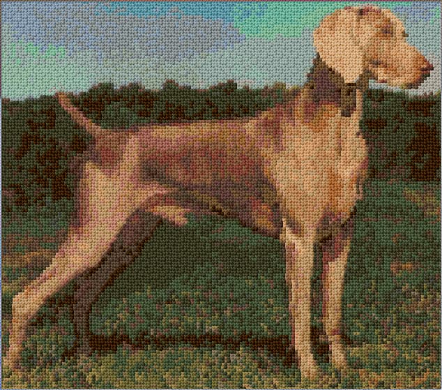 Weimaraner free cross-stitch pattern
