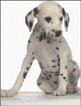 Dalmatian Puppy free cross-stitch pattern