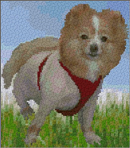 German Spitz free cross-stitch pattern