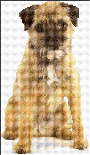 Border Terrier free cross-stitch pattern