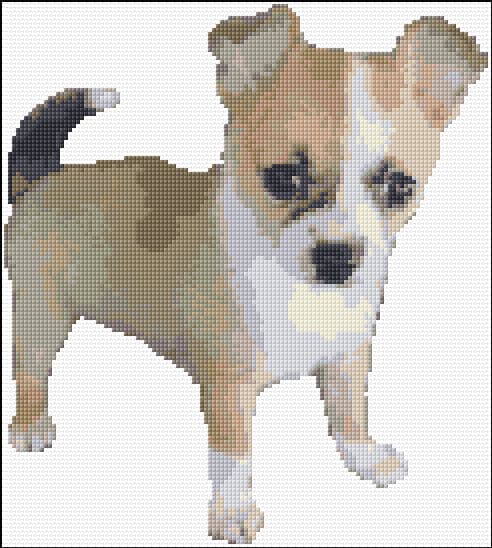 Short Haired Sable Chihuahua Puppy free cross-stitch pattern