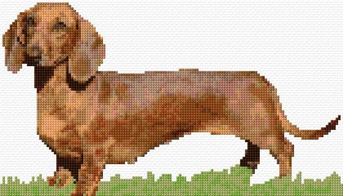 Sausage Dog free cross-stitch pattern