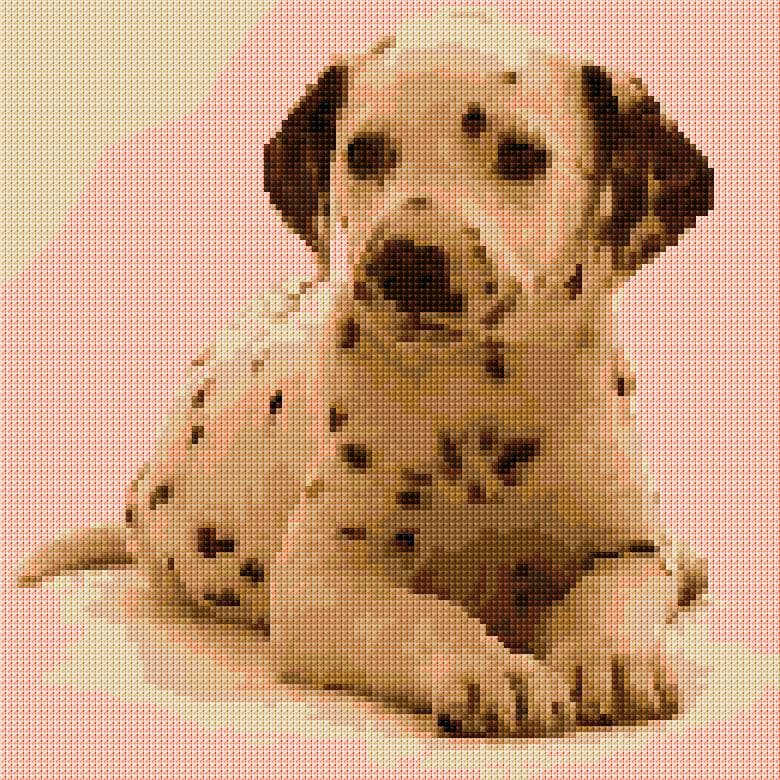Dalmatian Dog free cross-stitch pattern