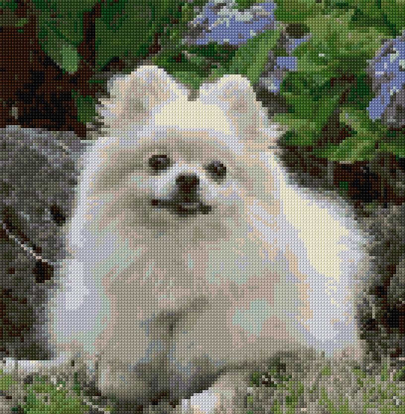 Pomeranian Dog free cross-stitch pattern