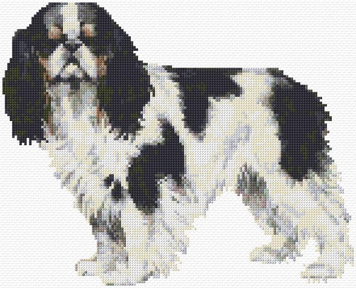 Tricolour Cavalier free cross-stitch pattern
