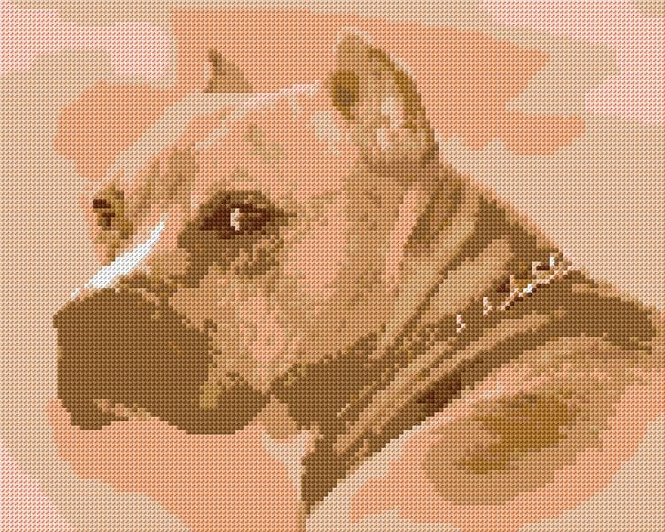 American Pitbull free cross-stitch pattern