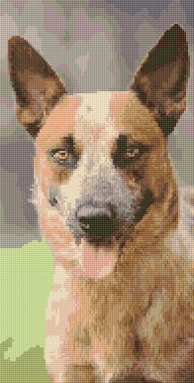 Cattle Dog free cross-stitch pattern