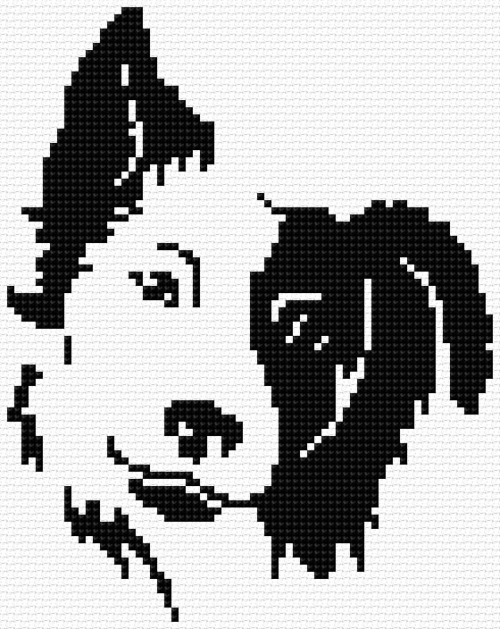 Border Collie free cross-stitch pattern