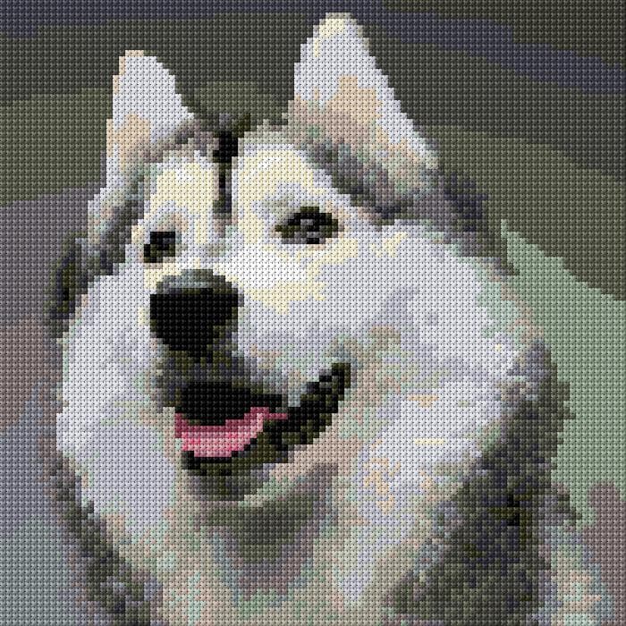 Husky free cross-stitch pattern