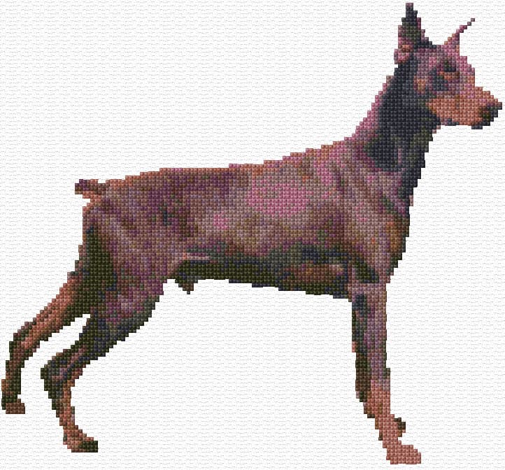 Doberman free cross-stitch pattern