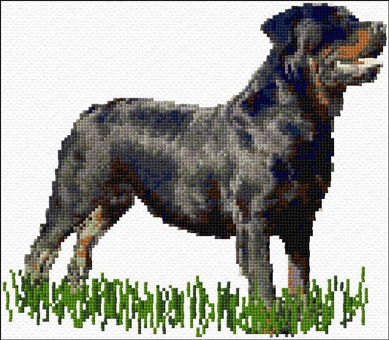 Rottweiler free cross-stitch pattern