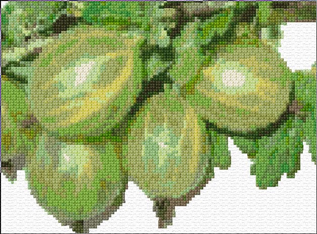 Gooseberries free cross-stitch pattern