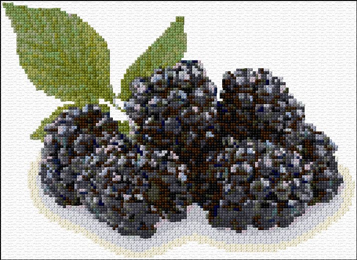 Blackberries free cross-stitch pattern