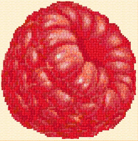 Raspberry free cross-stitch pattern