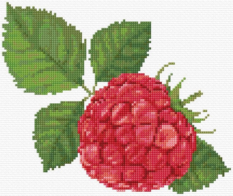 Raspberry free cross-stitch pattern