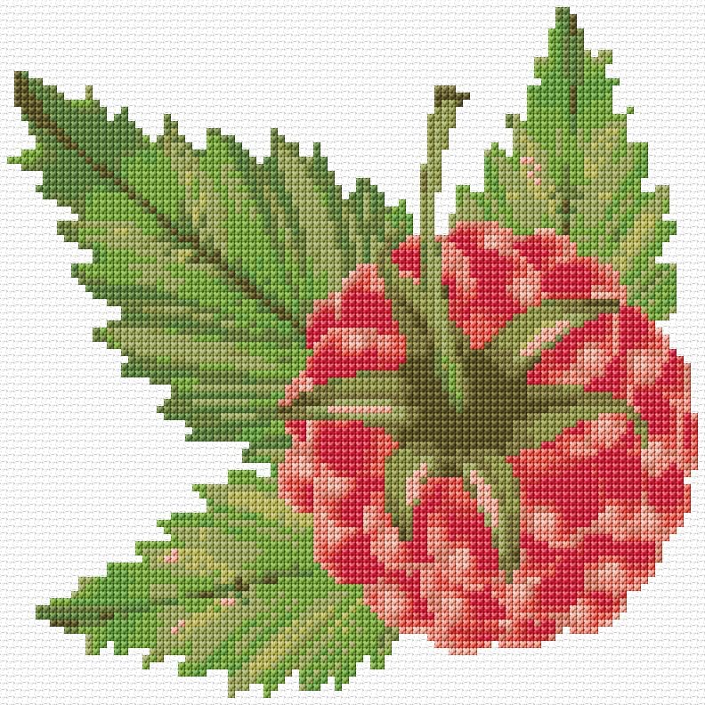 Raspberry free cross-stitch pattern