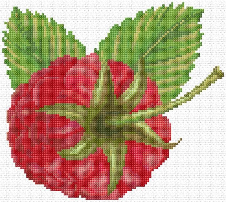 Raspberry free cross-stitch pattern