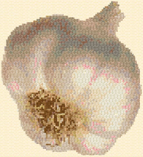 Garlic free cross-stitch pattern