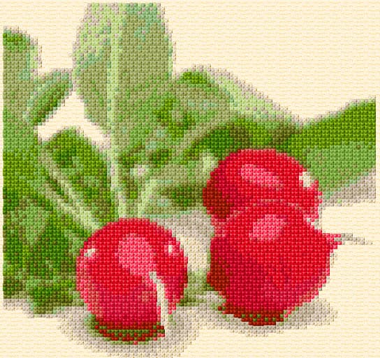 Radish free cross-stitch pattern