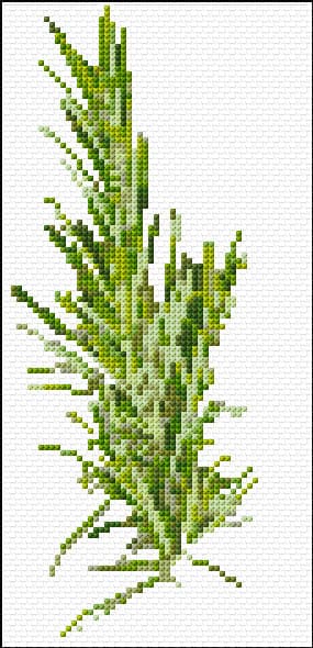 Rosemary free cross-stitch pattern
